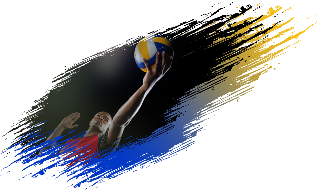 Voleibol